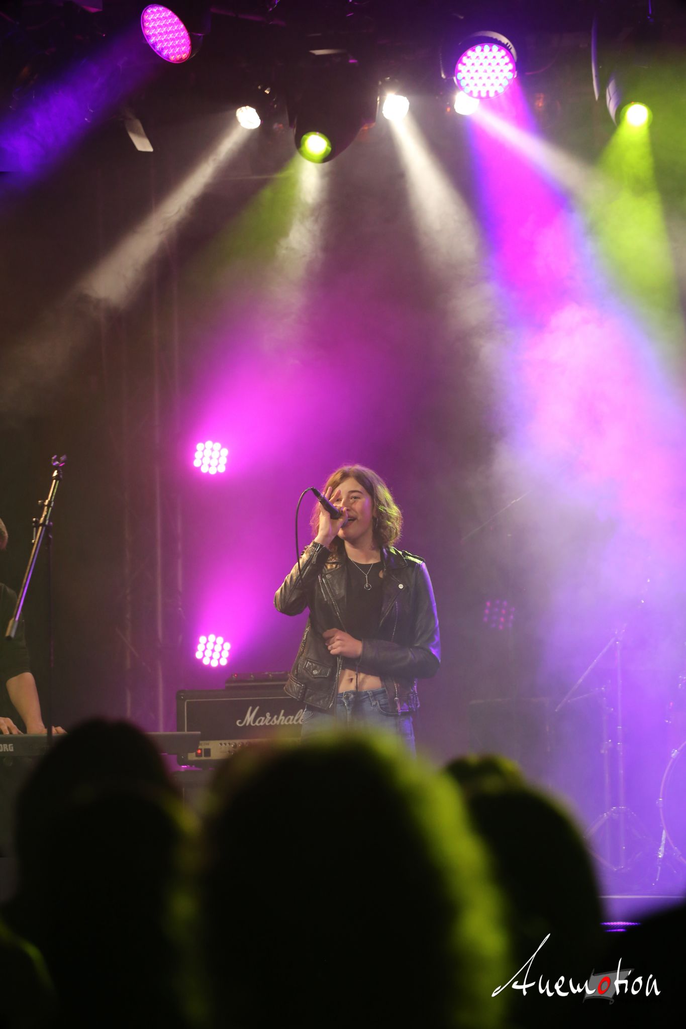 ElephantsFalling (20)